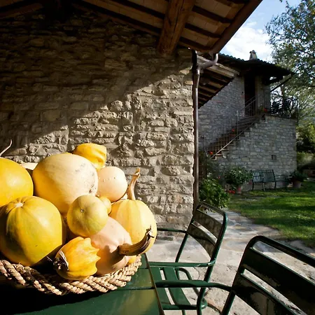 Séjour à la ferme Brigolante Guest Assise