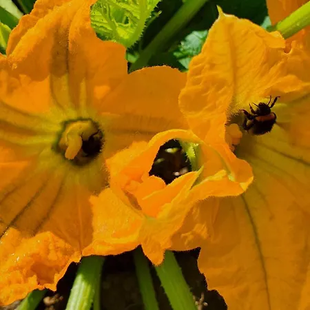 Venkovský dům Brigolante Guest Assisi