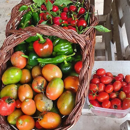 Brigolante Guest Casa rural *