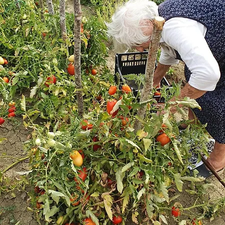 Venkovský dům Brigolante Guest *