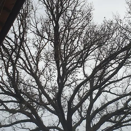 Casa rural Brigolante Guest Asís