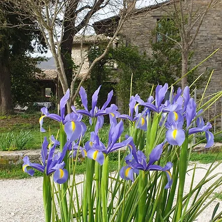 Venkovský dům Brigolante Guest *