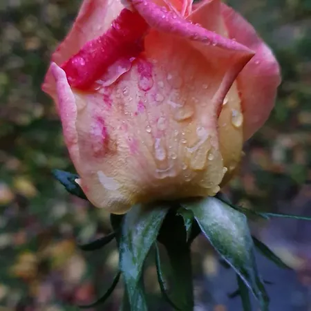 Brigolante Guest Venkovský dům Assisi