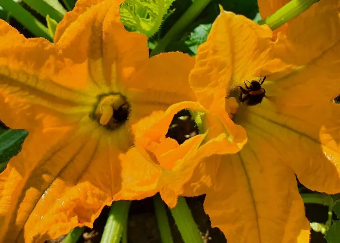 컨트리하우스 Brigolante Guest 아시시