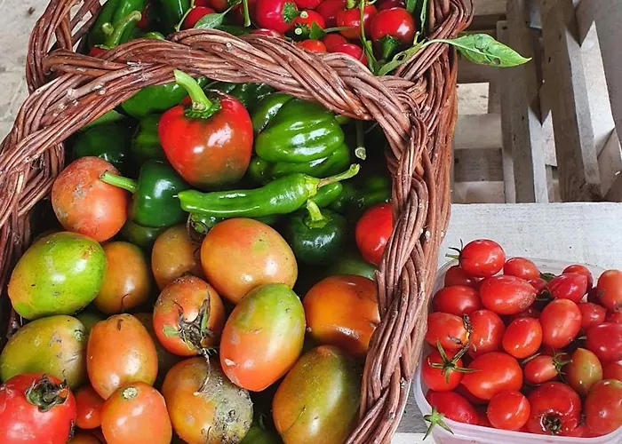 Brigolante Guest Landhuis *