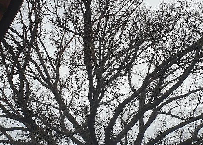 Landhuis Brigolante Guest Assisi