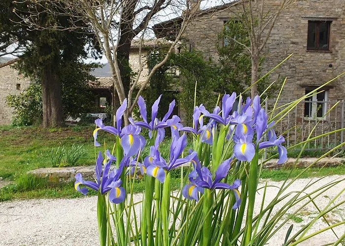 Landhuis Brigolante Guest *