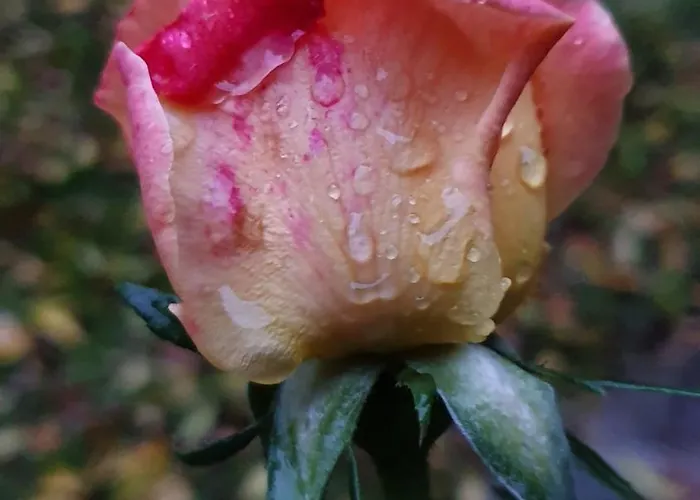 Brigolante Guest Landhuis Assisi